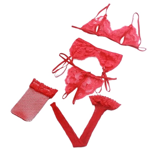 Lace Women Lingerie Set 4 Pcs  - Sheer Mesh Bra 리뷰 및 가격